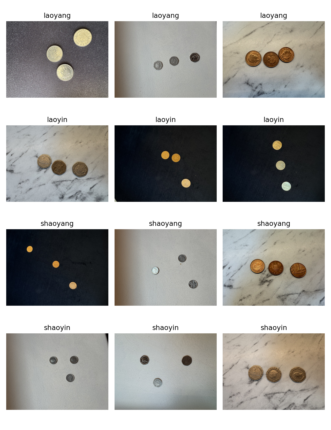 Coin Oracle Vision 自建硬币数据集